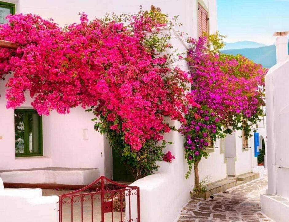 Nafpaktos Studio In Port Ιι Buitenkant foto